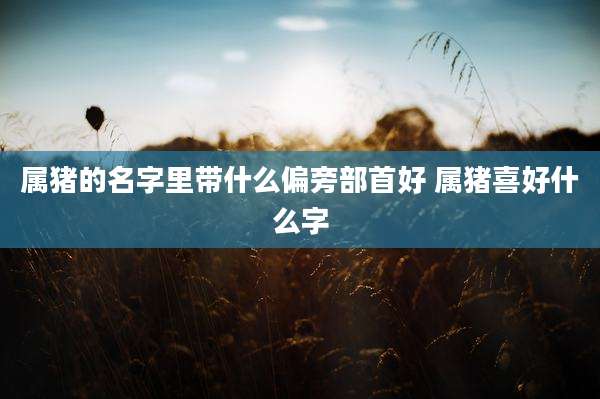 属猪的名字里带什么偏旁部首好 属猪喜好什么字