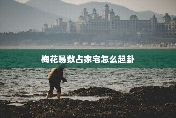 梅花易数占家宅怎么起卦