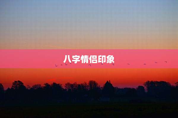 八字情侣印象
