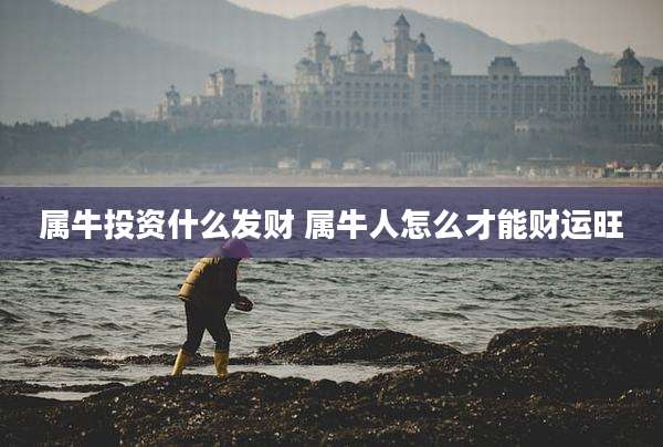 属牛投资什么发财 属牛人怎么才能财运旺