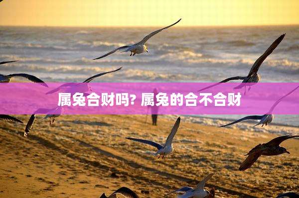 属兔合财吗? 属兔的合不合财