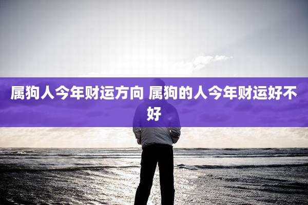 属狗人今年财运方向 属狗的人今年财运好不好