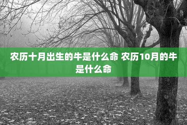 农历十月出生的牛是什么命 农历10月的牛是什么命