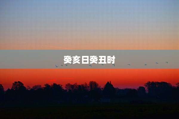 癸亥日癸丑时