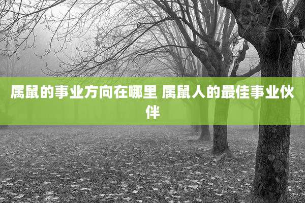 属鼠的事业方向在哪里 属鼠人的最佳事业伙伴