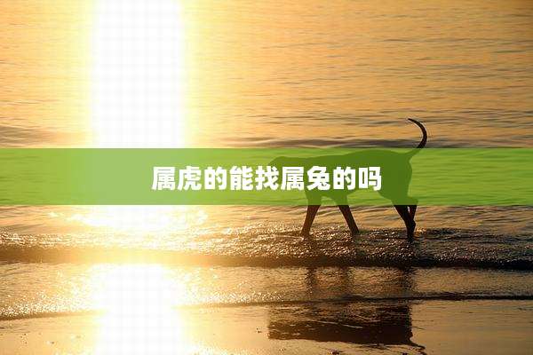 属虎的能找属兔的吗