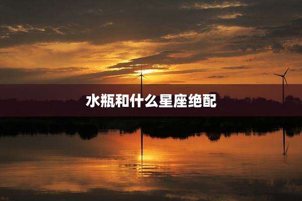 水瓶和什么星座绝配