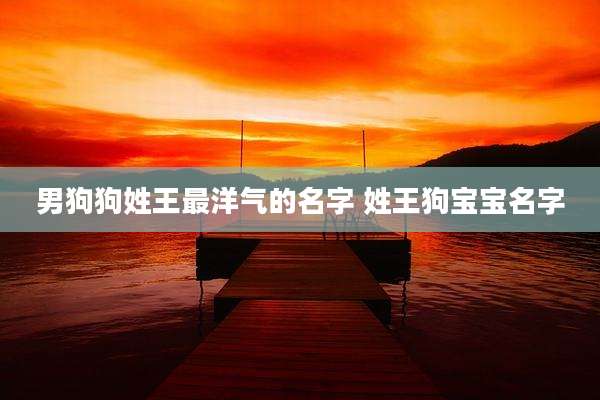 男狗狗姓王最洋气的名字 姓王狗宝宝名字