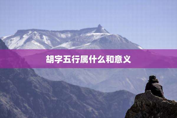 胡字五行属什么和意义