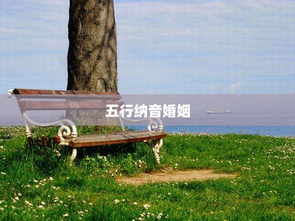 五行纳音婚姻