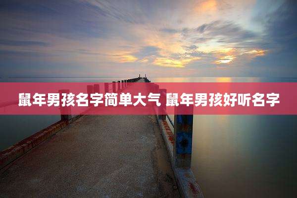 鼠年男孩名字简单大气 鼠年男孩好听名字