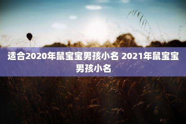 适合2020年鼠宝宝男孩小名 2021年鼠宝宝男孩小名