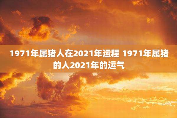 1971年属猪人在2021年运程 1971年属猪的人2021年的运气