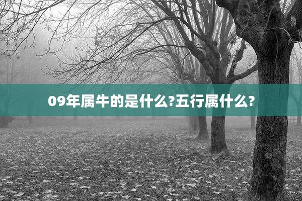 09年属牛的是什么?五行属什么?
