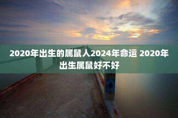 2020年出生的属鼠人2024年命运 2020年出生属鼠好不好