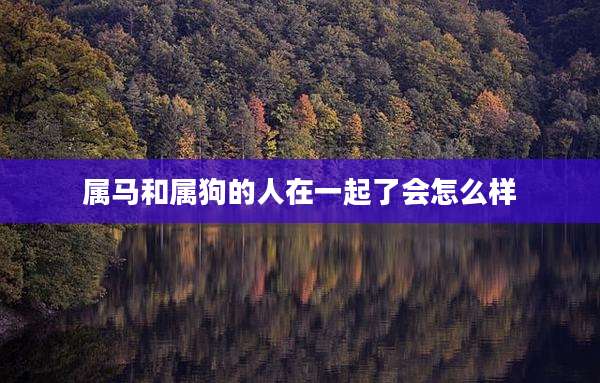 属马和属狗的人在一起了会怎么样