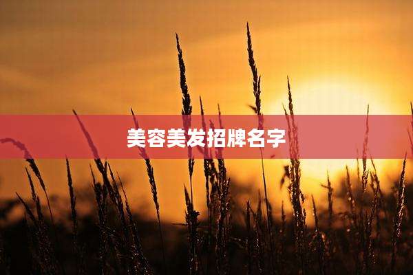 美容美发招牌名字