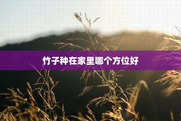 竹子种在家里哪个方位好