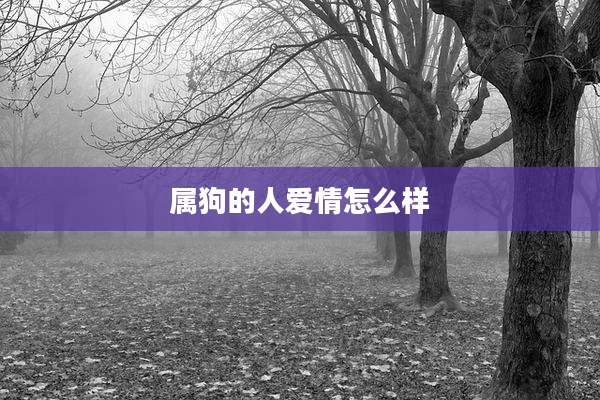 属狗的人爱情怎么样