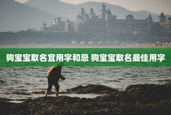 狗宝宝取名宜用字和忌 狗宝宝取名最佳用字