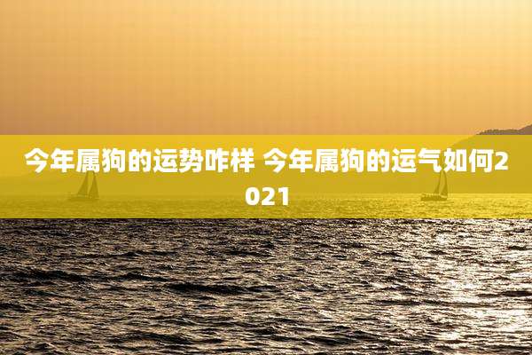 今年属狗的运势咋样 今年属狗的运气如何2021