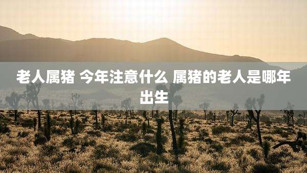 老人属猪 今年注意什么 属猪的老人是哪年出生
