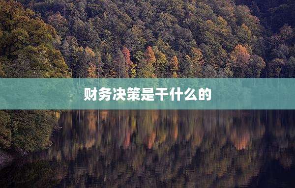 财务决策是干什么的