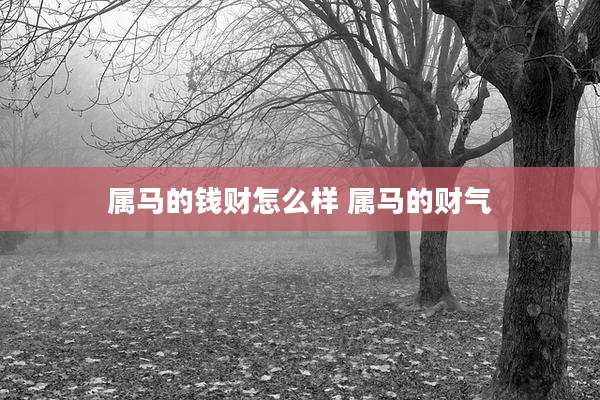 属马的钱财怎么样 属马的财气