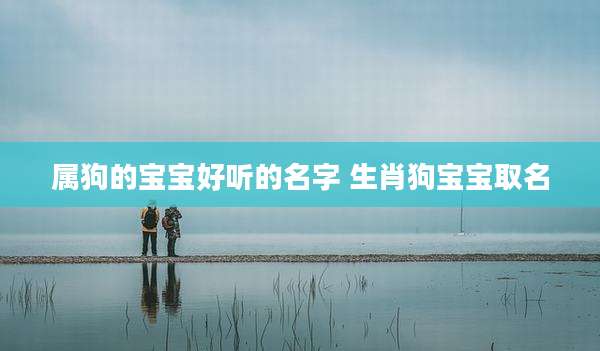 属狗的宝宝好听的名字 生肖狗宝宝取名
