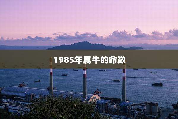 1985年属牛的命数