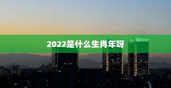 2022是什么生肖年呀