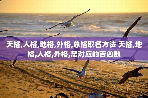 天格,人格,地格,外格,总格取名方法 天格,地格,人格,外格,总对应的吉凶数
