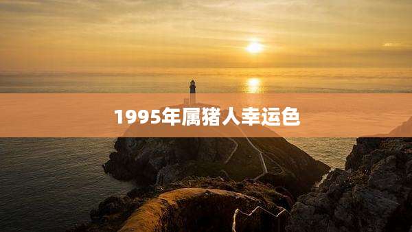 1995年属猪人幸运色
