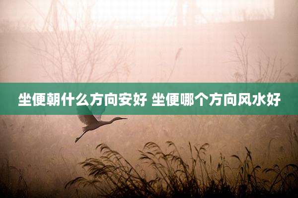 坐便朝什么方向安好 坐便哪个方向风水好