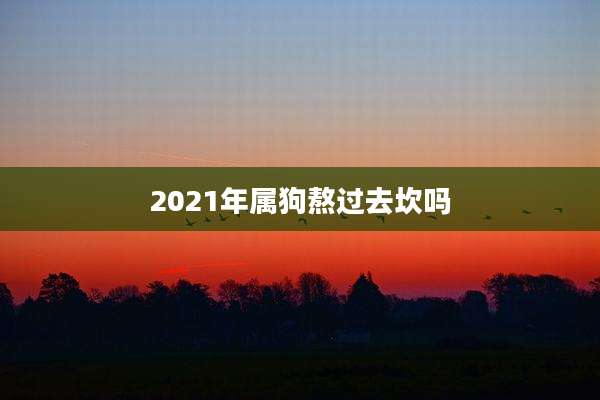 2021年属狗熬过去坎吗