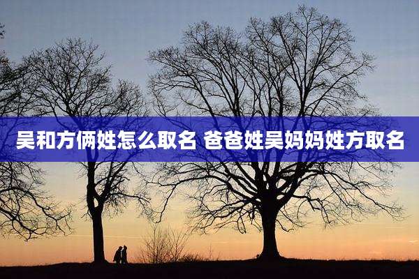 吴和方俩姓怎么取名 爸爸姓吴妈妈姓方取名