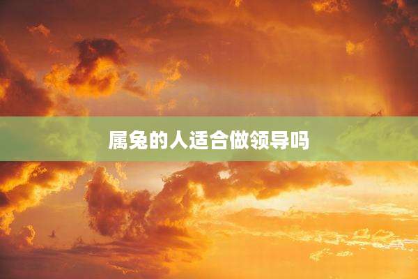 属兔的人适合做领导吗