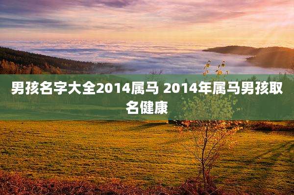 男孩名字大全2014属马 2014年属马男孩取名健康