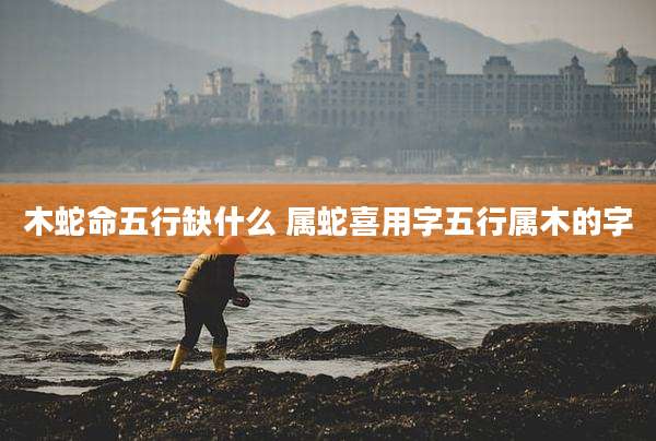 木蛇命五行缺什么 属蛇喜用字五行属木的字
