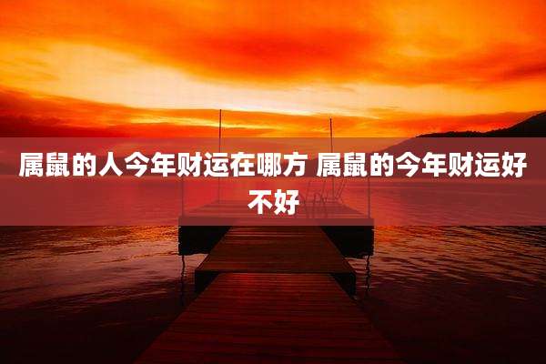 属鼠的人今年财运在哪方 属鼠的今年财运好不好