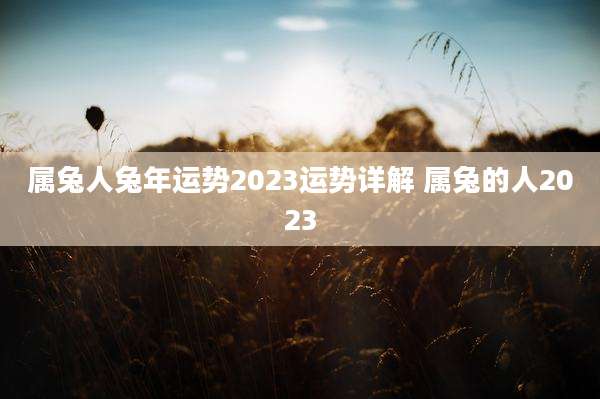 属兔人兔年运势2023运势详解 属兔的人2023
