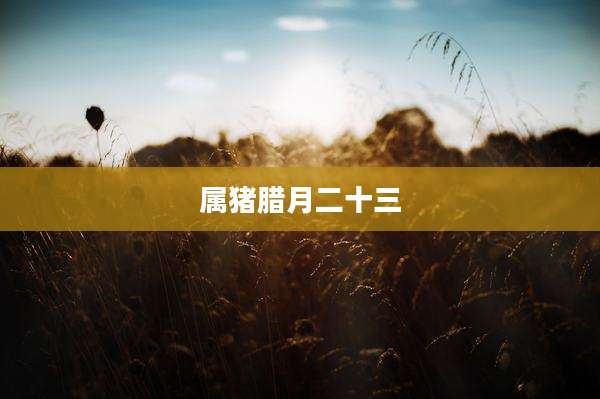 属猪腊月二十三