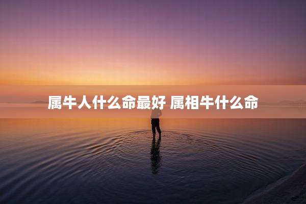 属牛人什么命最好 属相牛什么命