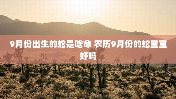 9月份出生的蛇是啥命 农历9月份的蛇宝宝好吗