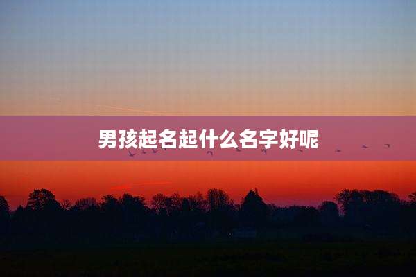 男孩起名起什么名字好呢