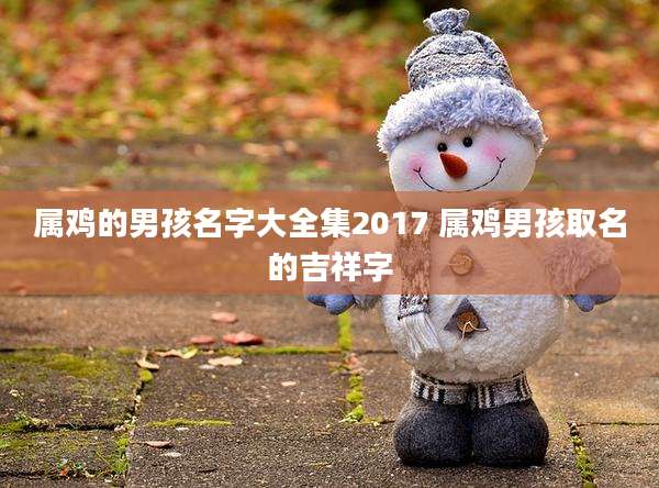 属鸡的男孩名字大全集2017 属鸡男孩取名的吉祥字