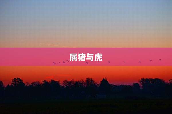 属猪与虎