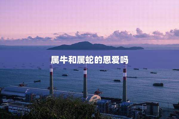 属牛和属蛇的恩爱吗