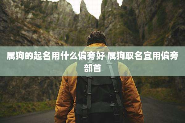 属狗的起名用什么偏旁好 属狗取名宜用偏旁部首
