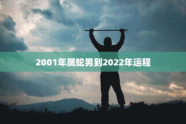 2001年属蛇男到2022年运程